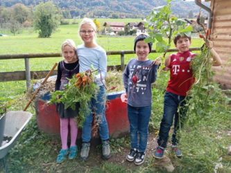 Erntezeit im Schulgarten