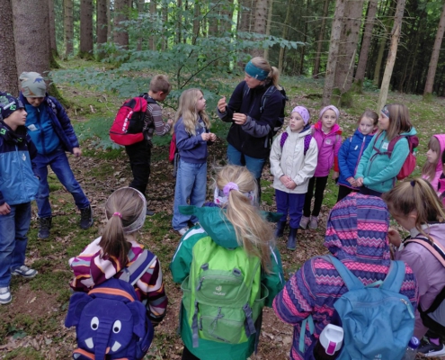 Wald 2